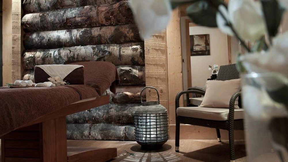 Les Chalets de Jouvence - lounge