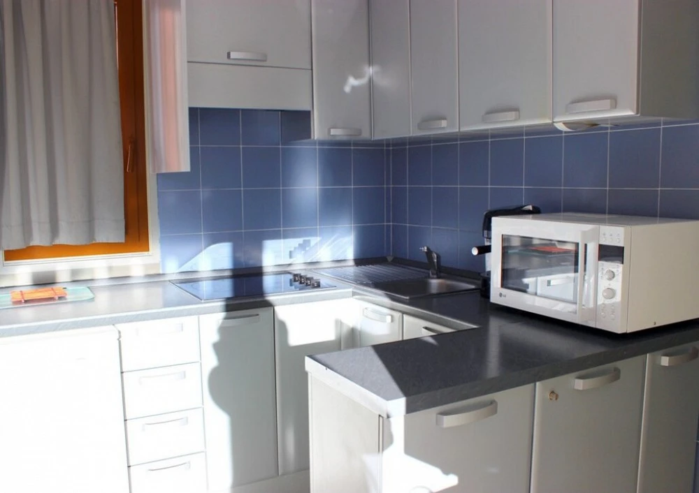 Le Lac de Lou - keuken met magnetron 2